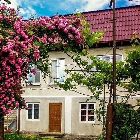 سوخومي Guest House Anna المظهر الخارجي الصورة