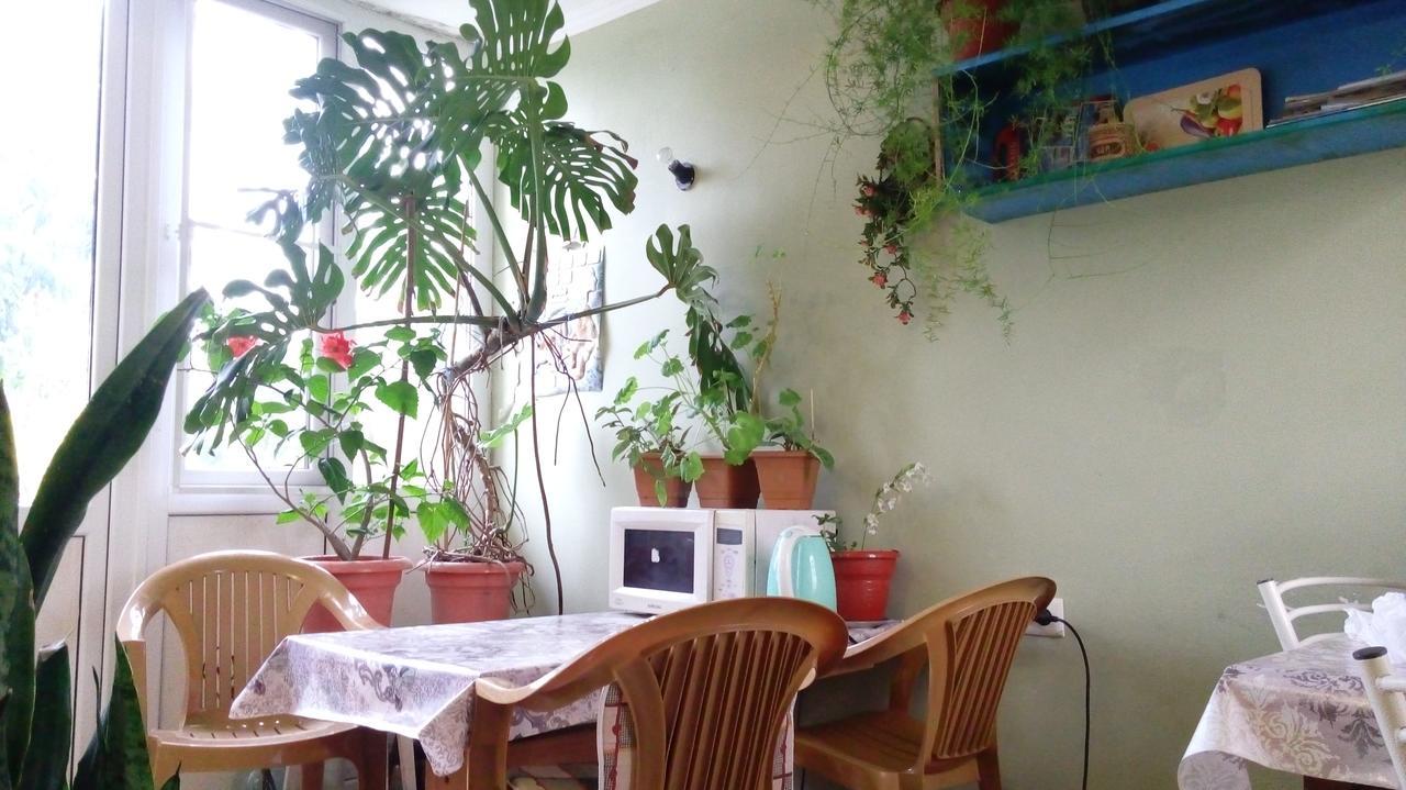 سوخومي Guest House Anna المظهر الخارجي الصورة