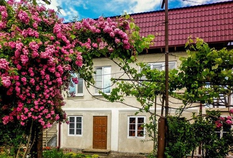 سوخومي Guest House Anna المظهر الخارجي الصورة